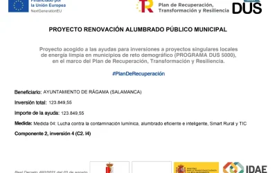 Proyecto Renovación Alumbrado Público Municipal