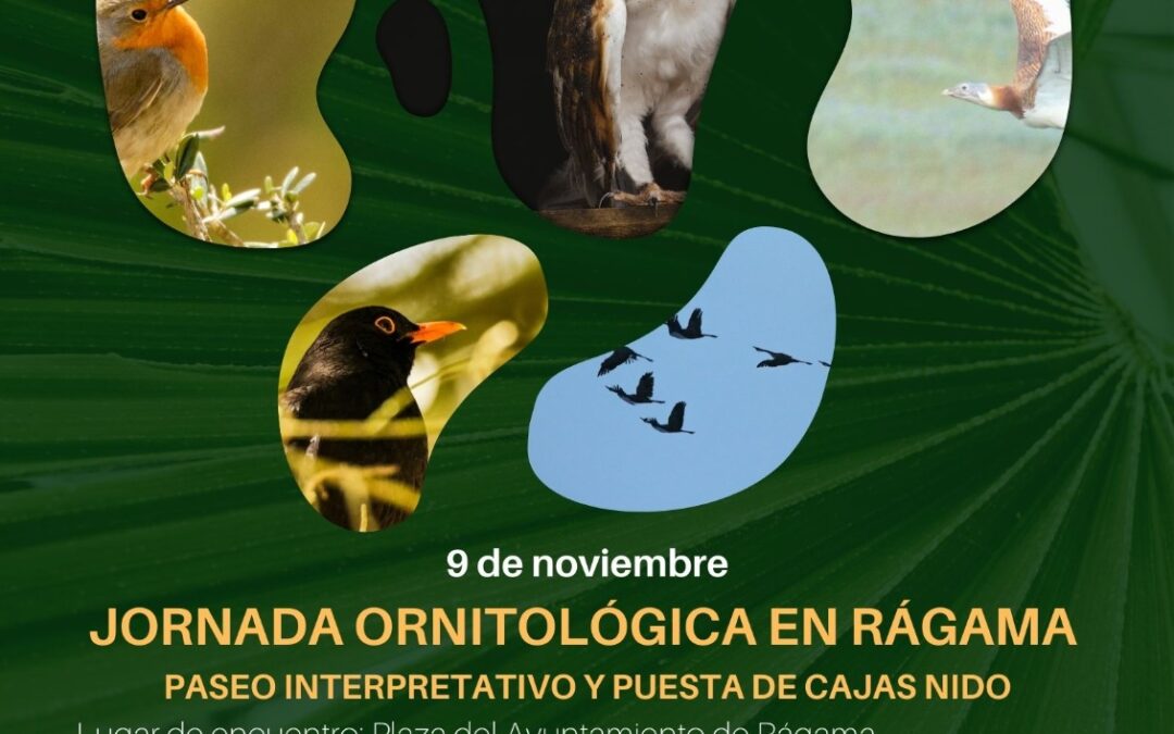 Jornada Ornitológica en Rágama