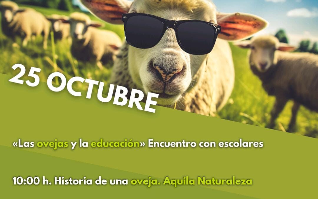 En el medio rural las Ovejas también cuentan