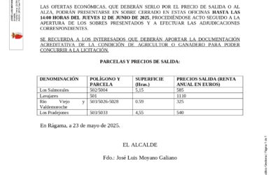 Anuncio segunda subasta arrendamiento prados municipales periodo 2025-2027