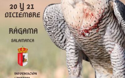 Trofeo Legendario de Altanería